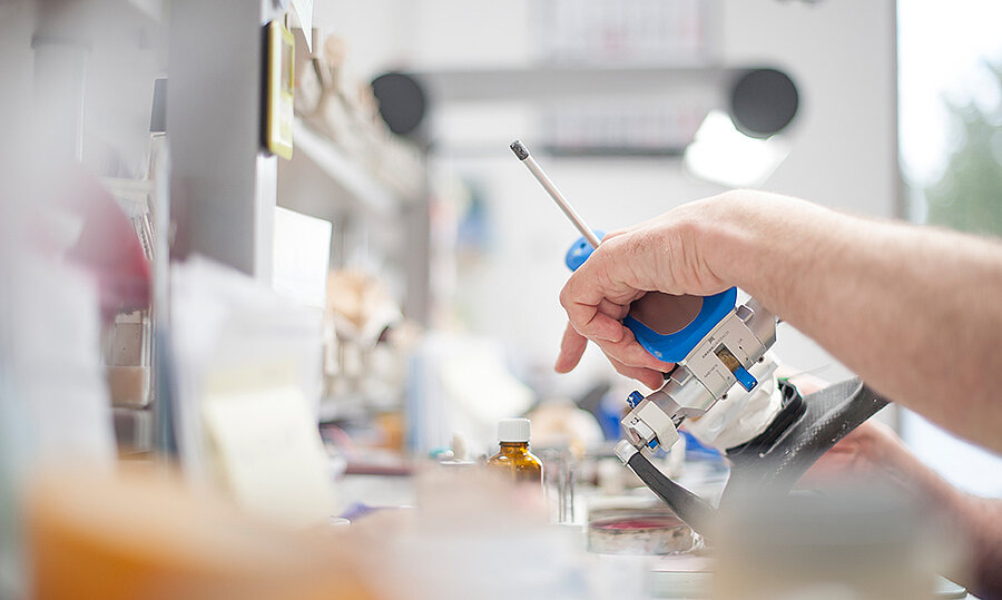 Eine Zahnprothese wird geprüft